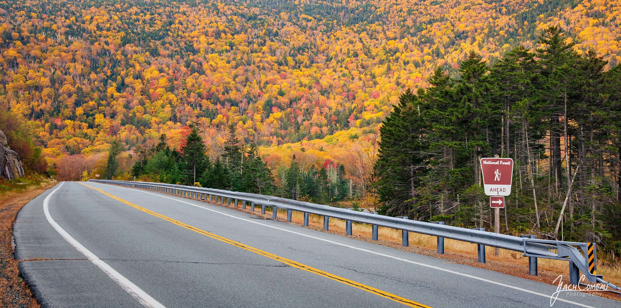 Drab foliage in Kinsman Notch during the dry fall of 2025