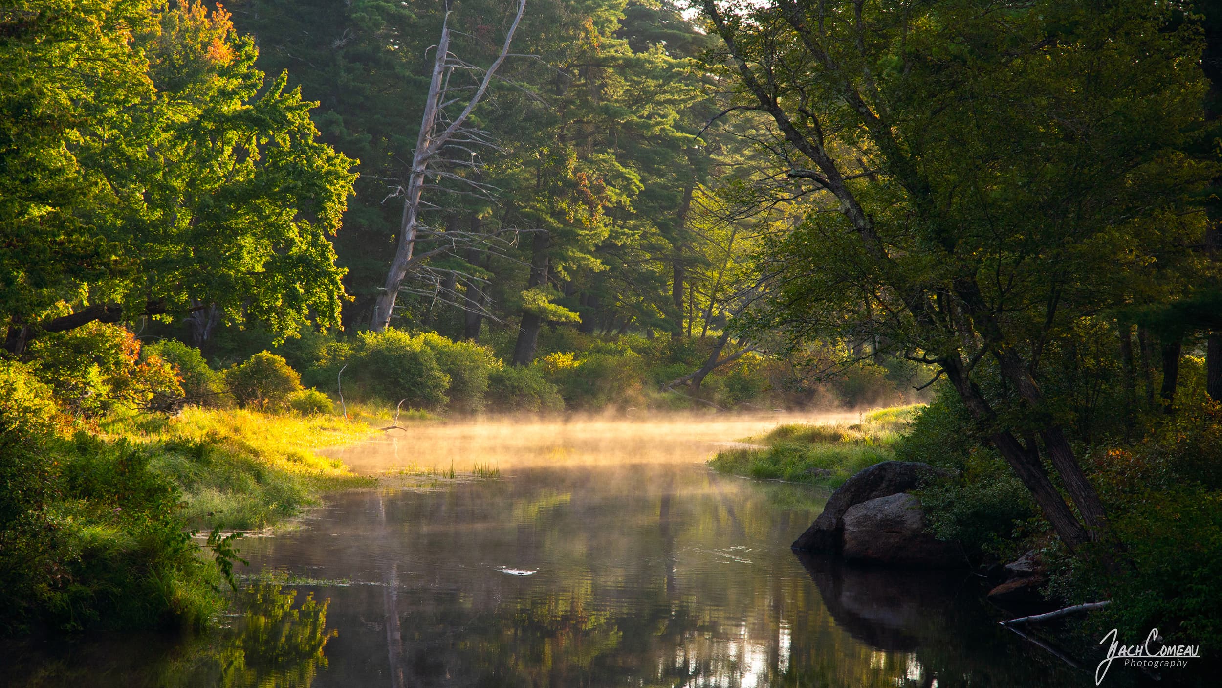 A calm morning by the Millers River